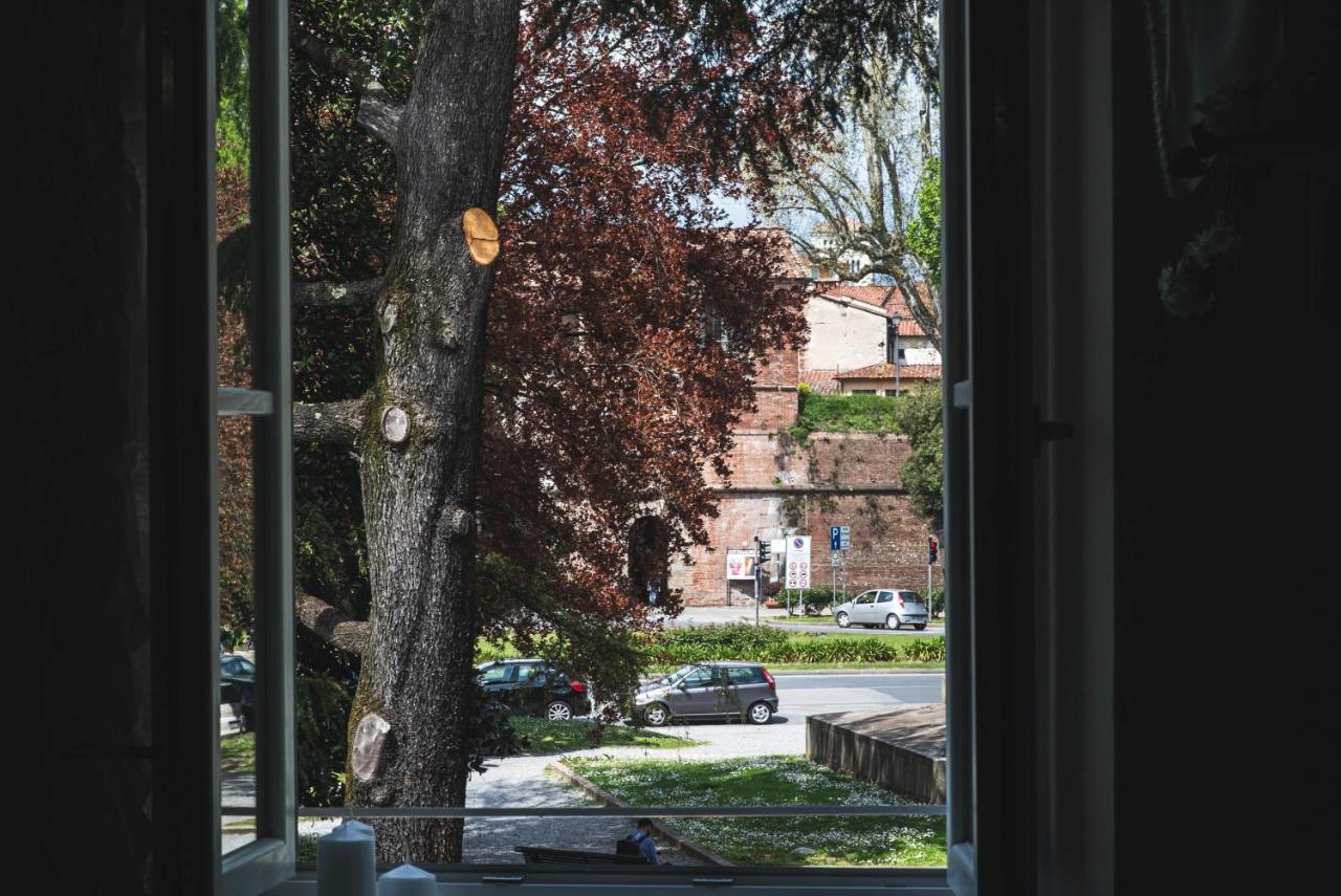 Belvedere Luxury Apartment, View On The Lucca Walls 外观 照片